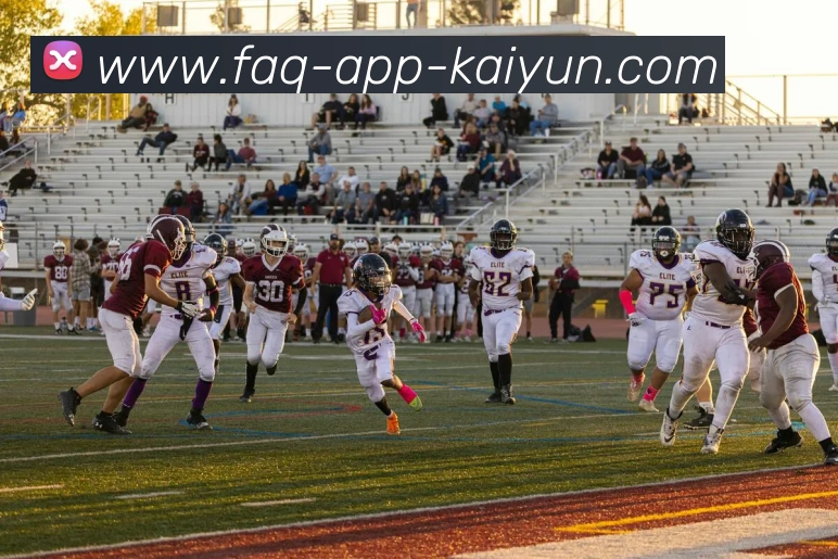 App Interface Preview