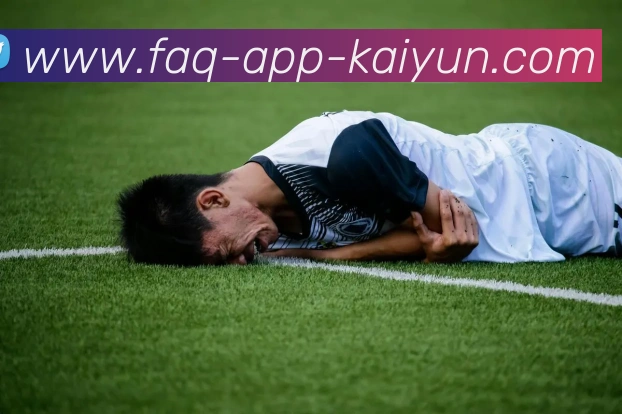 开云appAPP 封面图